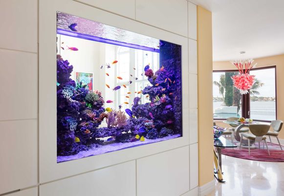 Jellyfish Art by null