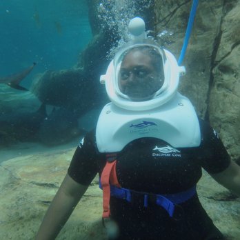 Discovery Cove - Seaventure - Amusement Parks Near Me - Orlando, Florida Discovery Cove - Seaventure - Amusement Parks Near Me - Orlando, Florida