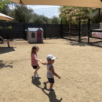 SoCalMiniPigs - Pet Breeders Near Me - Valley Center, California SoCalMiniPigs - Pet Breeders Near Me - Valley Center, California