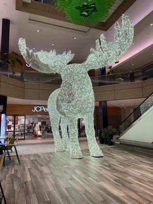 Rosedale Center by null