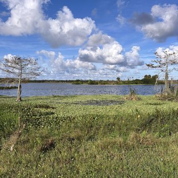 Orlando Wetlands - Parks Near Me - Christmas, Florida