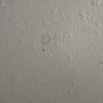 Green Residential - Paint will fix it ? - Property Management Near Me - Houston, Texas Green Residential - Paint will fix it ? - Property Management Near Me - Houston, Texas