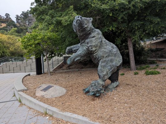 California Memorial Stadium by null