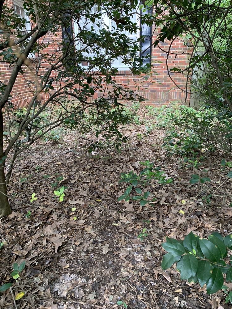 Lawn King - tree service in Montgomery, AL