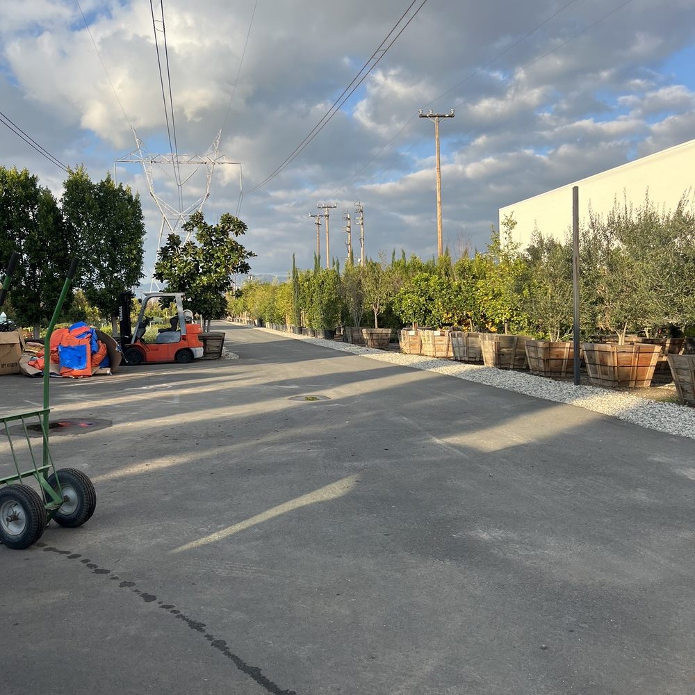 The Standard Design Group Nurseries - The North Hollywood lot, very vast. - Nurseries & Gardening Near Me - North Hollywood, California