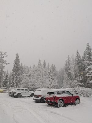 Juniper Hotel by null