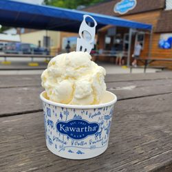 The Kawartha Dairy - Small coconut Ice Cream