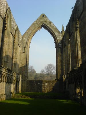 Bolton Abbey by null