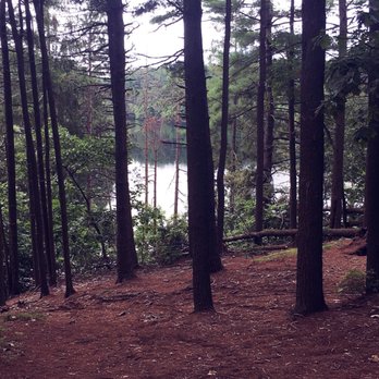 Middlesex Fells Reservation - Hiking. - Parks Near Me - Stoneham, Massachusetts