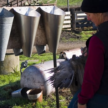 Clark Summit Farm - Liz with a Turkey about to meet its cone - Farms Near Me - Tomales, California