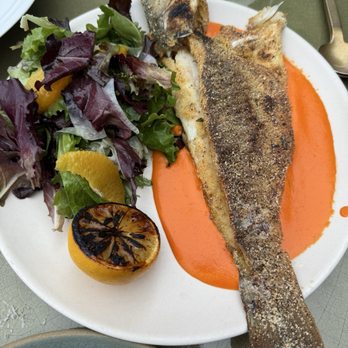 Paradisaea - Branzino - New American Near Me - San Diego, California