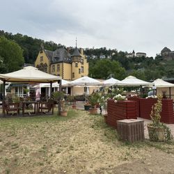 Rebstock Garden - Rheinfels Castle in the background.