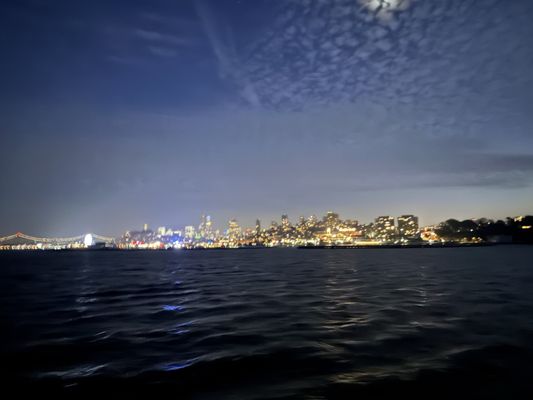 City Cruises by null