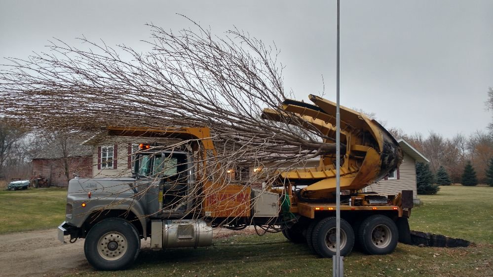 TREES ON THE MOVE near you at Crystal, North Dakota Request a Quote Tree Services Phone