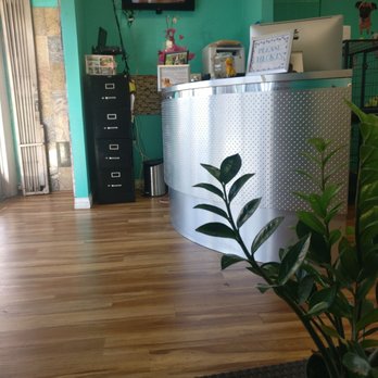 Emanuel Pet Grooming - Pet Groomers Near Me - Los Angeles, California Emanuel Pet Grooming - Pet Groomers Near Me - Los Angeles, California