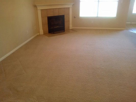 Carpet Cleaning - Licensed and Insured
100% Guarantee
No hidden Charges
Free Estimates
24 Hour Service
Locally Owned Carpet Cleaning - Licensed and Insured
100% Guarantee
No hidden Charges
Free Estimates
24 Hour Service
Locally Owned
