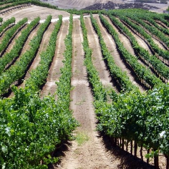 Leoness Cellars - Venues & Event Spaces Near Me - Temecula, California Leoness Cellars - Venues & Event Spaces Near Me - Temecula, California
