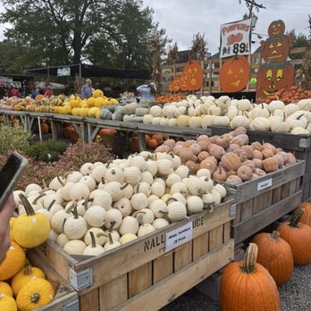 Nalls Produce - Fruits & Veggies Near Me - Alexandria, Virginia Nalls Produce - Fruits & Veggies Near Me - Alexandria, Virginia