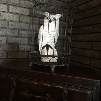Bad Owl Coffee - Oh hey hedwig! - Coffee & Tea Near Me - Henderson, Nevada Bad Owl Coffee - Oh hey hedwig! - Coffee & Tea Near Me - Henderson, Nevada