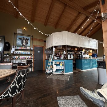 Insomnia Coffee - Coffee & Tea Near Me - Cannon Beach, Oregon