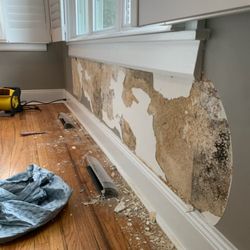 Center line Painting - Mold Repair