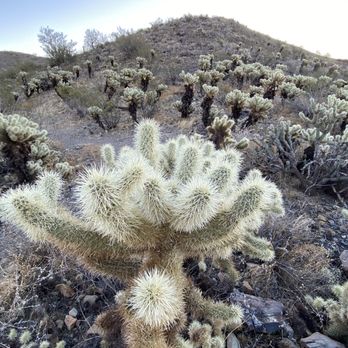 Desert Vista Trail Head - Hiking Near Me - Phoenix, Arizona