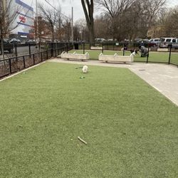 Small dog run area on a quiet day