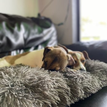 Exoud Exotics - Zzz - Coffee & Tea Near Me - Largo, Florida
