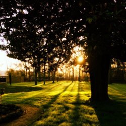 Magnolia Shadows - Summer boarding available at Magnolia Shadows: bring your ponies! Paddocks, pastures and stalls available - away from the hea...