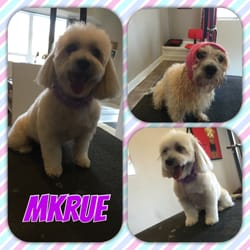 Muttly Krue