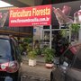 Photo of Floricultura Floresta Flores