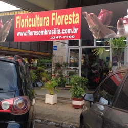 Floricultura Floresta Flores