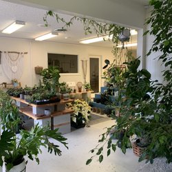 Let it Grow - Inside.
