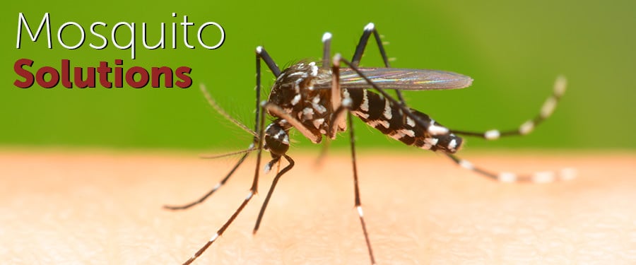 ALCON SERVICES - Updated April 2025 - 12 Photos - Frisco, Texas - Pest ...
