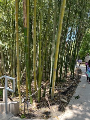 San Diego Botanic Garden by null