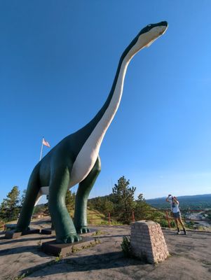 Dinosaur Park by null