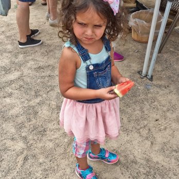 Corrales Growers Market - Discerning shopper - Farmers Market Near Me - Corrales, New Mexico