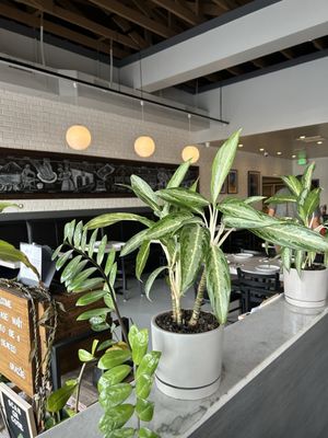 Brick Fire Tavern by null