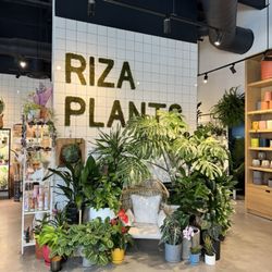 Riza Plants