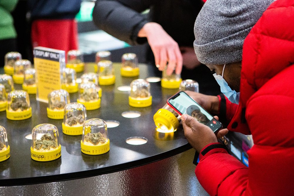 LEMONNADE PDX Updated July 2024 12 Photos 6218 NE Columbia Blvd, Portland, Oregon