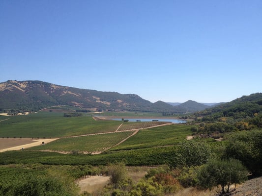 Antinori Napa Valley by null