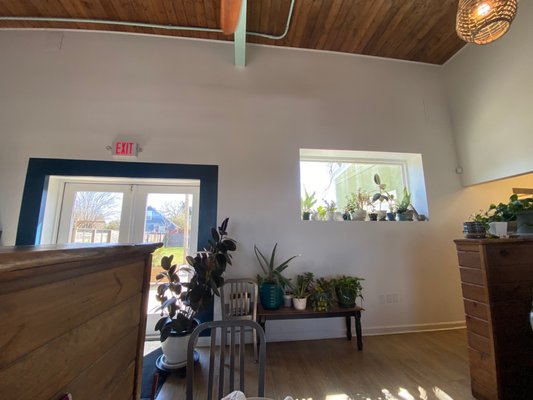 The Backyard by null