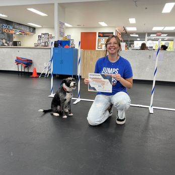 Zoom Room Dog Training - Pet Stores Near Me - Redlands, California Zoom Room Dog Training - Pet Stores Near Me - Redlands, California