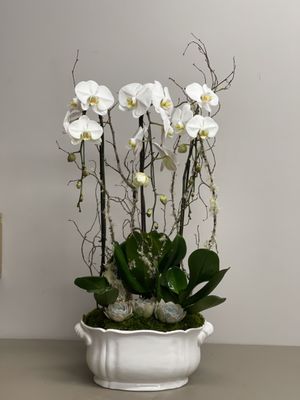 Florentyna's Fine Flower Company by null