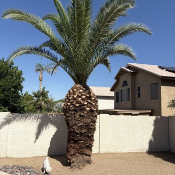 Your Dream Landscape - Before and after - Artificial Turf Near Me Your Dream Landscape - Before and after - Artificial Turf Near Me