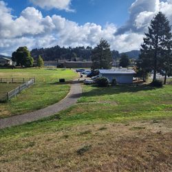Champion Dog Park