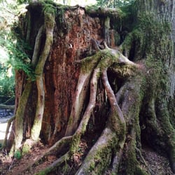 Talaysay Tours - Awesome nature