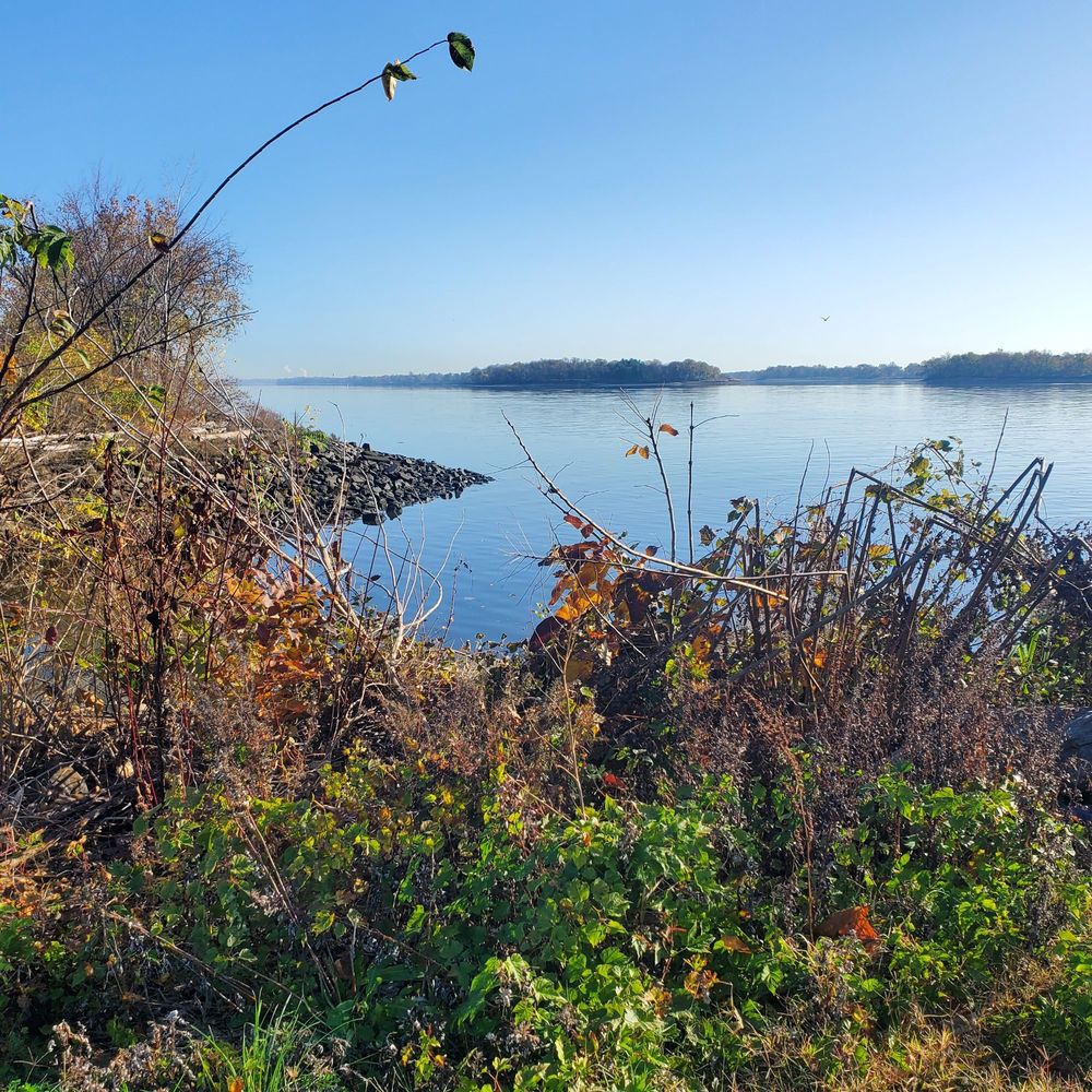 Social spots from Pleasant Hill Park