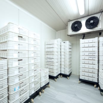Rutan Refrigeration - Walkin freezers and coolers - Heating & Air Conditioning/HVAC Near Me - Lihue, Hawaii Rutan Refrigeration - Walkin freezers and coolers - Heating & Air Conditioning/HVAC Near Me - Lihue, Hawaii