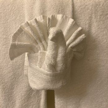 The Morgan - Cute turkey towel for thanksgiving! - Hotels Near Me - San Simeon, California
